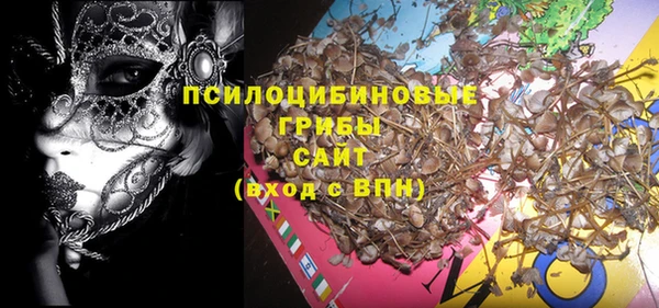 дживик Балахна