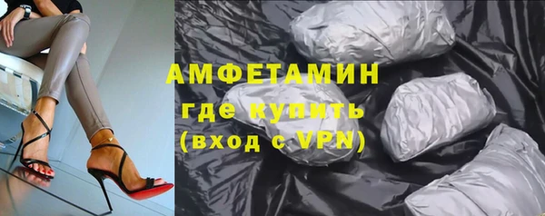 хмурый Белокуриха