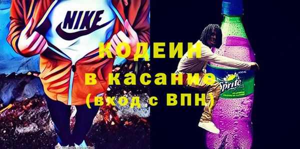 хмурый Белокуриха