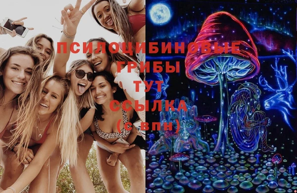дживик Балахна