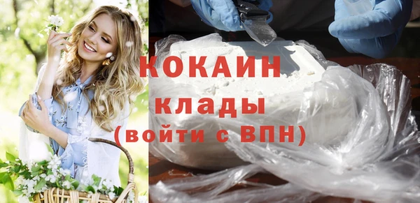 хмурый Белокуриха