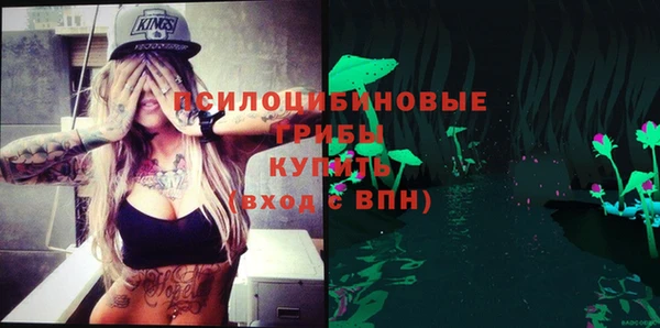 мдпв Протвино