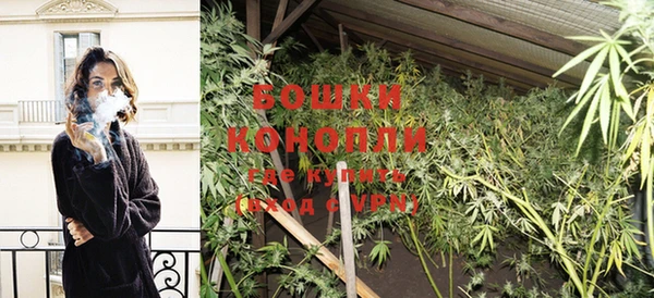 дживик Балахна