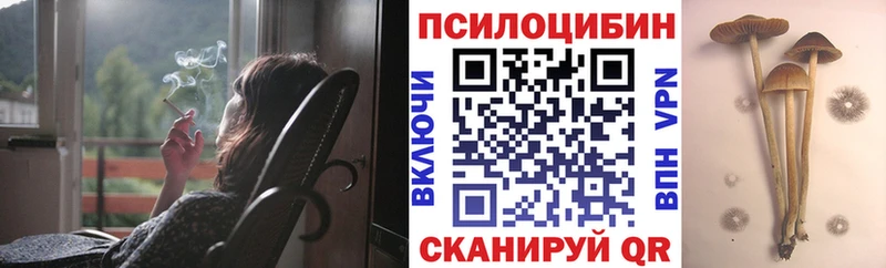 Галлюциногенные грибы мухоморы  магазин    Высоцк 